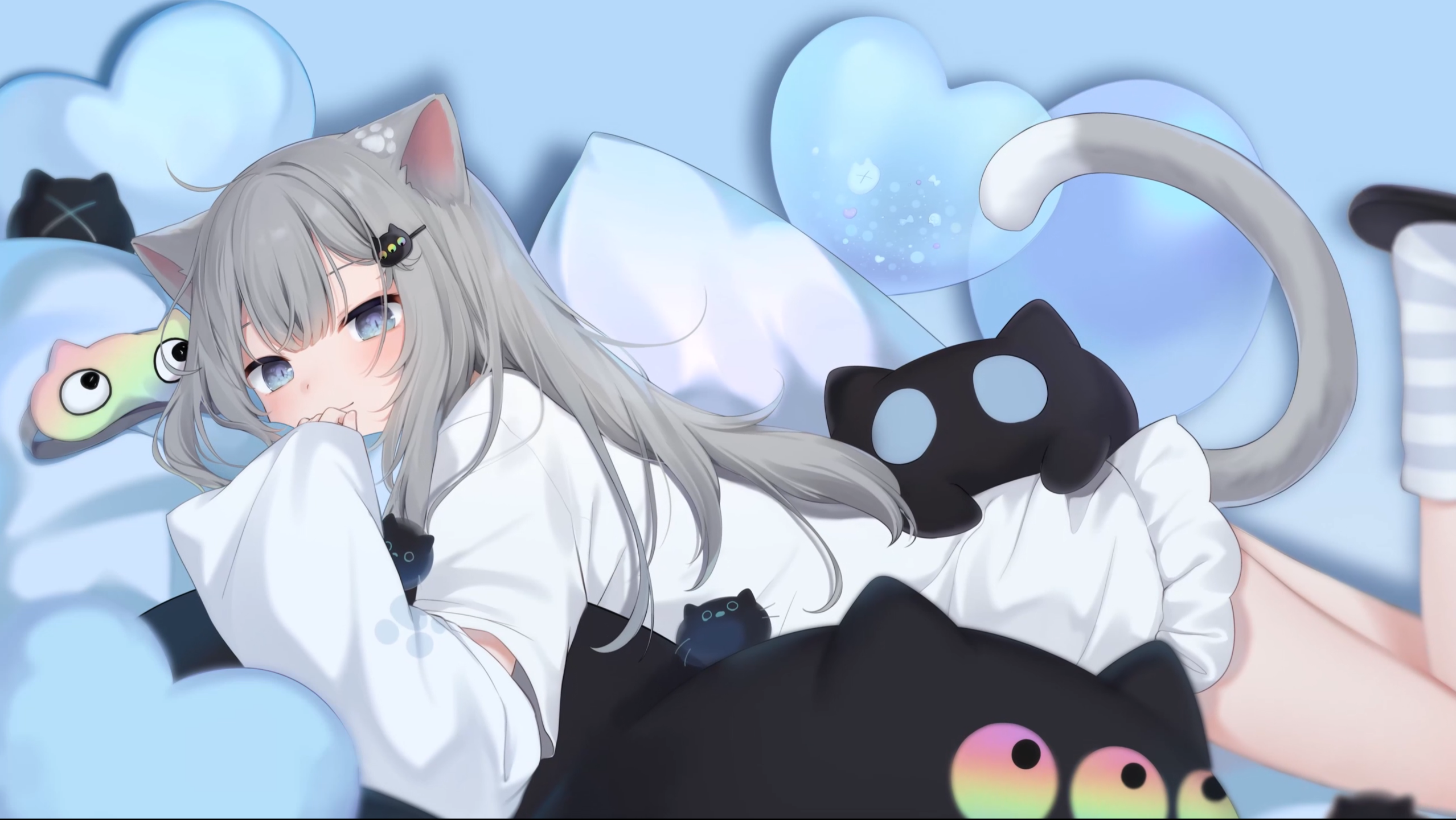 猫猫窗